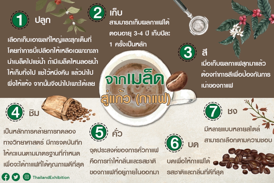Creative & Content Marketing - สร้างคอนเทนต์เพื่อการขายทุกแพลตฟอร์ม - 5