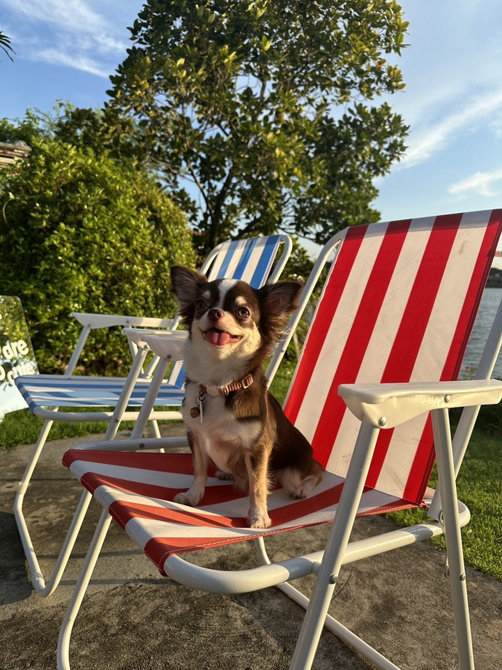 นางแบบมือสวย น่ารัก นั่งเก้าอี้