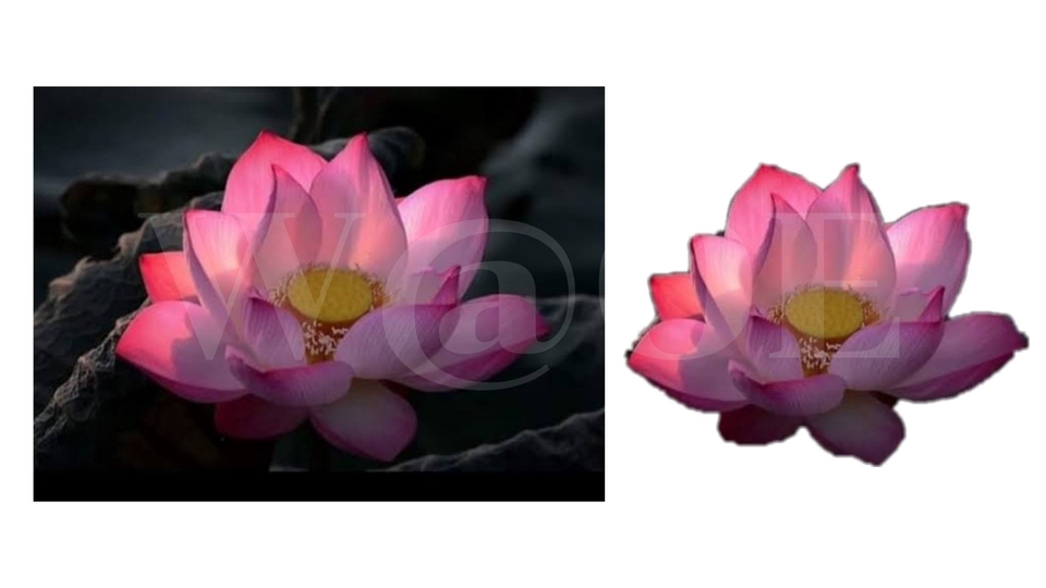 ไดคัท & Photoshop - ไดคัทภาพเอาพื้นหลังออก (โปร่งใส/ขาว) ราคาเริ่มต้นที่ 10 (ราคาขึ้นอยู่กับตัวชิ้นงาน) - 3