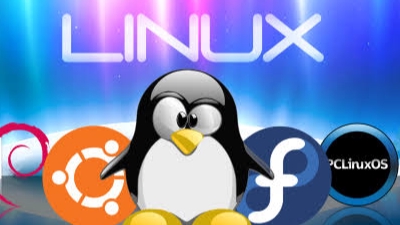 Technical Support - Linux Windows Server Specialist - 2