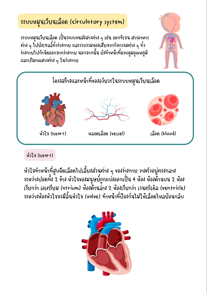 Infographics - รับทำแบบฝึกหัด ชีทเรียน - 4
