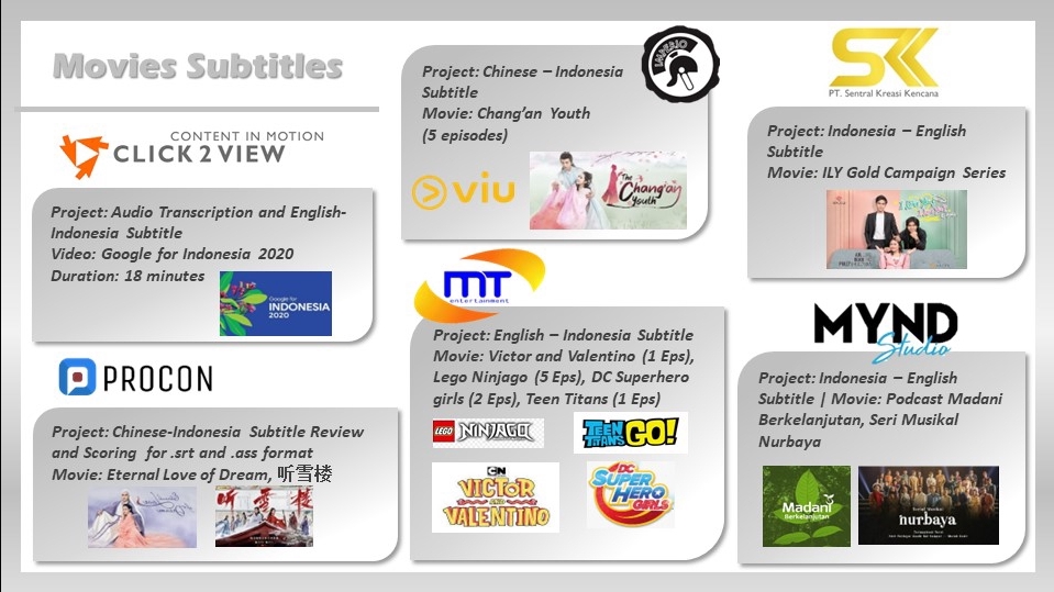 Subtitle - Chinese/English Subtitle PROFESSIONAL - 3