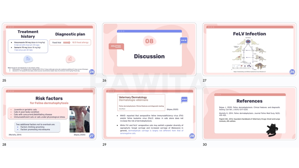 รับทำ presentation แพทย์สัตว์ รับทำพรีเซนเทชั่นข้อมูลส่วนตัว บริการรับทำพรีเซนเทชั่นข้อมูลส่วนตัว