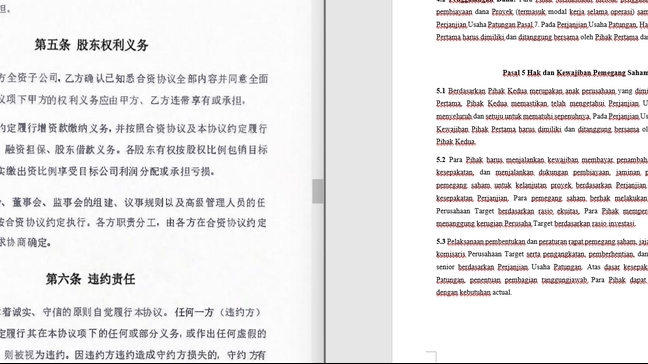 Penerjemahan - Chinese-Indonesia-English Translation 中文-印尼文-英文翻译 (Bersertifikat HSK Tertinggi) - 8