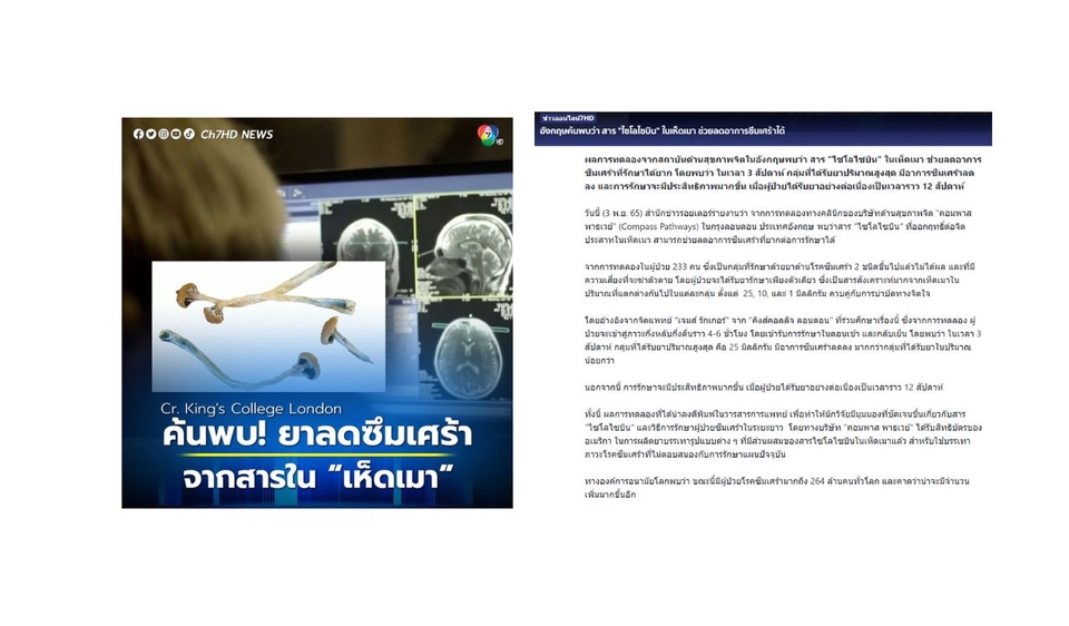 เขียนบทความ - เขียนข่าว บทความ บทสัมภาษณ์ ทั้งภาษาไทย และภาษาอังกฤษ - 3