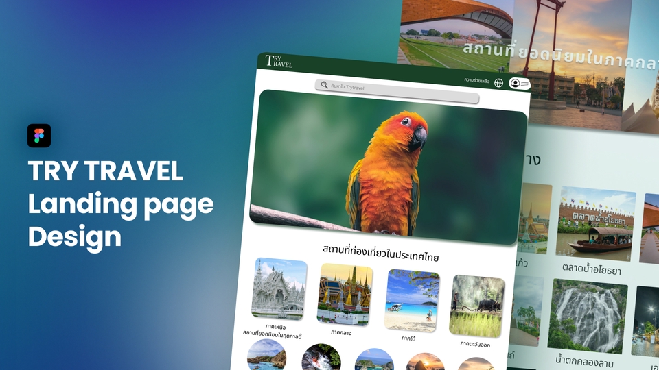 รับออกแบบเว็บไซต์ landing page สวยงาม
