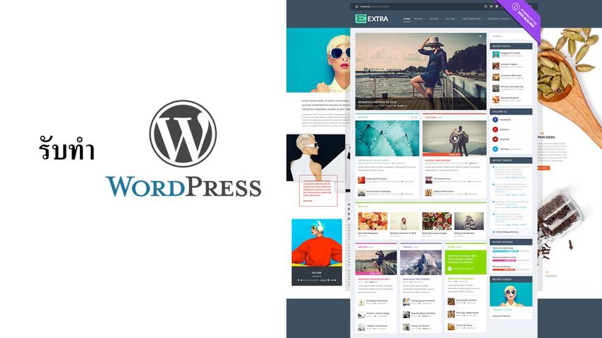 Web Development - รับทำเว็บไซต์ Wordpress พร้อมลง Content - 1