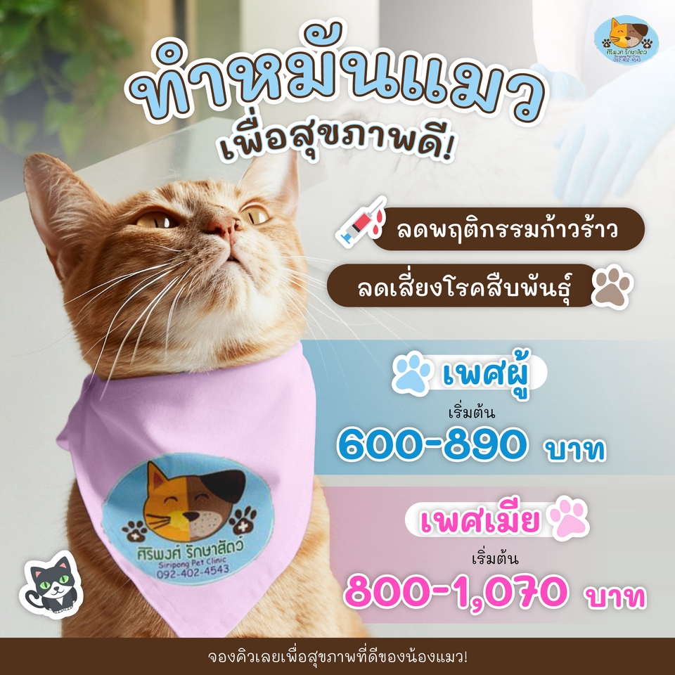 Banner โฆษณา - ออกแบบเเบนเนอร์สินค้า ภาพโฆษณา สำหรับธุรกิจทุกประเภท Content Online / ADS / Poster โดยทีมงานมืออาชีพ - 8