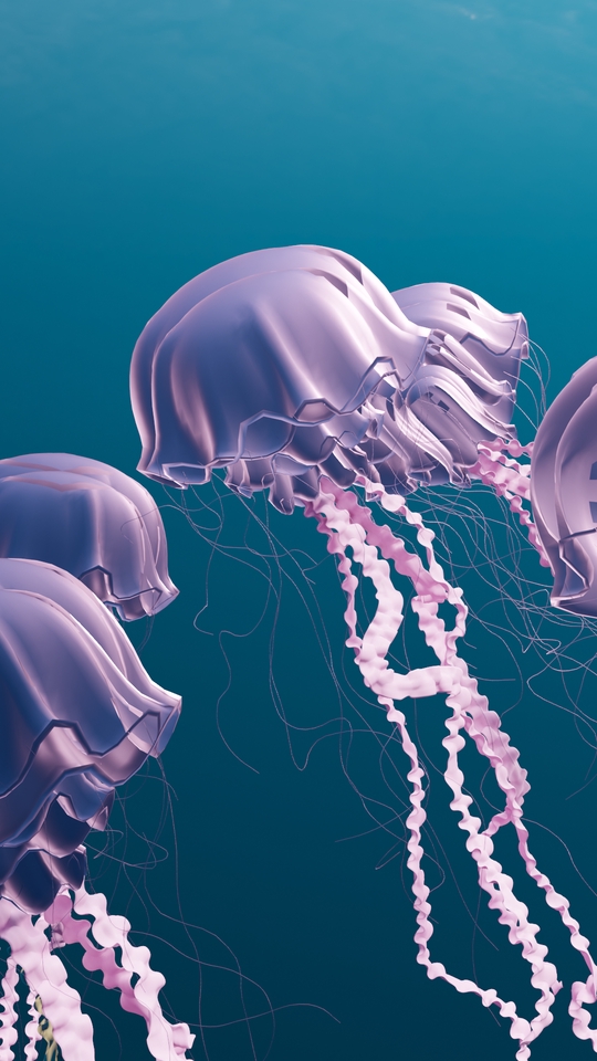 Jasa pembuatan video animasi 3d dengan efek air laut dan ubur-ubur.