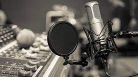 Sulih suara (dubbing, looping) - Pengisi Suara - 1
