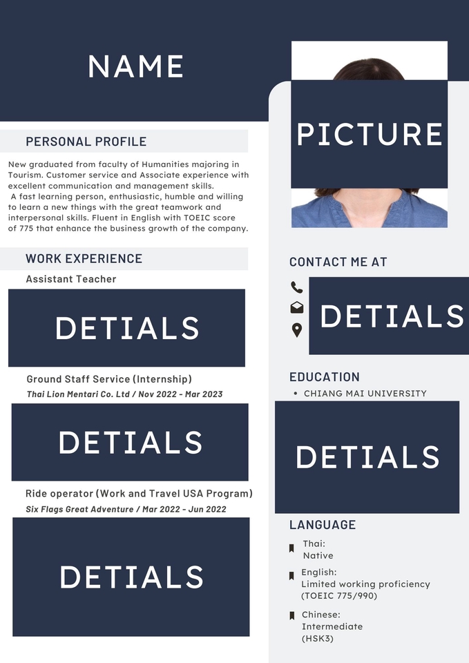 Portfolio & Resume - Profesional Resume - 3