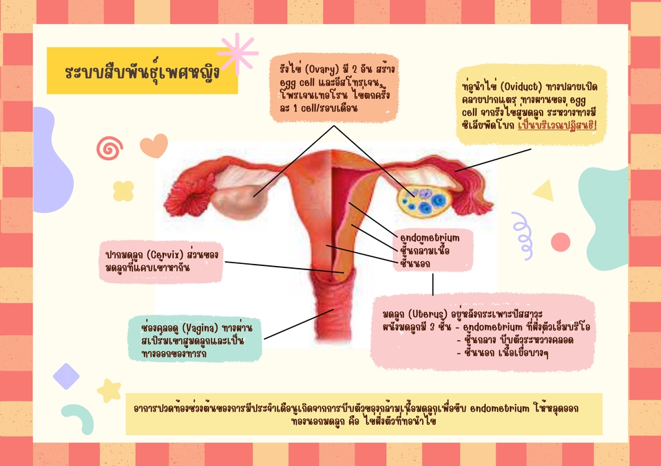 Presentation - รับทำ Powerpoint นำเสนองานต่างๆ ดีไซน์ตามใจคุณ - 7