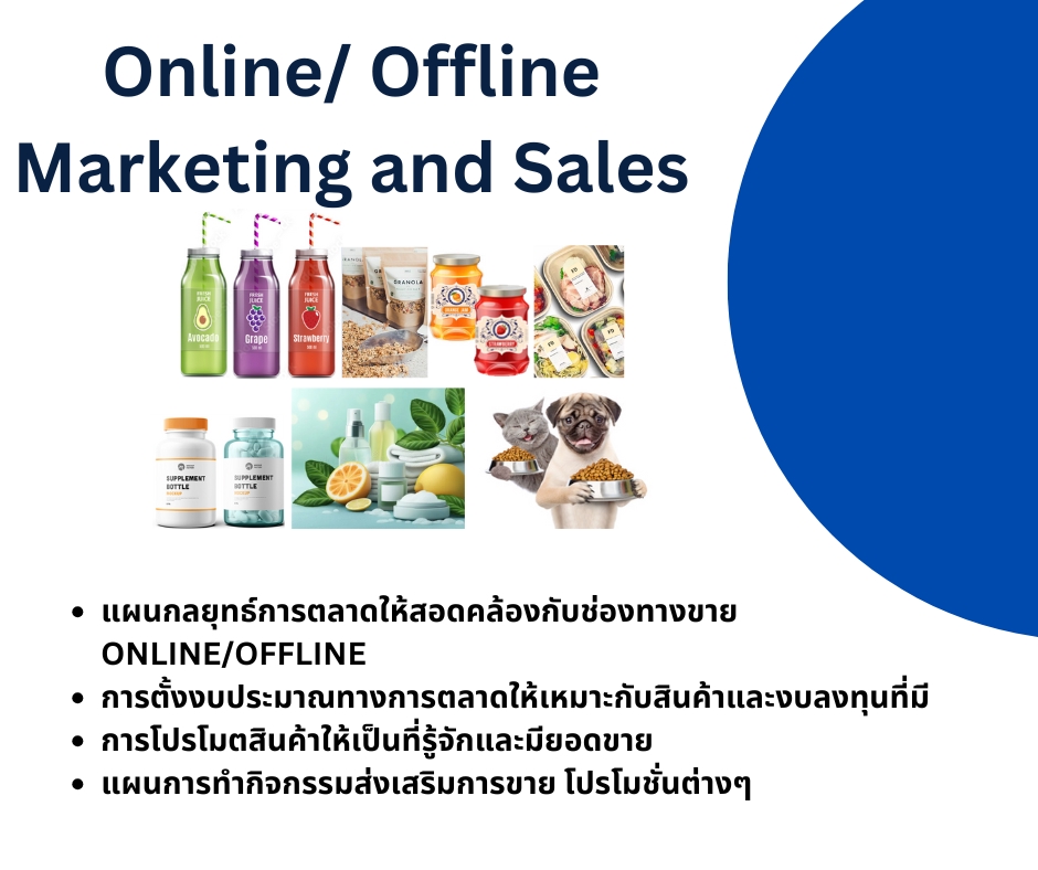ที่ปรึกษาการตลาดออนไลน์วางแผนการขายและการตลาดครบวงจร