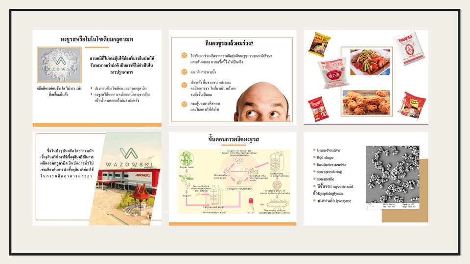 Presentation - ออกแบบ presentation รับงานด่วน 24 ชั่วโมง ! - 7