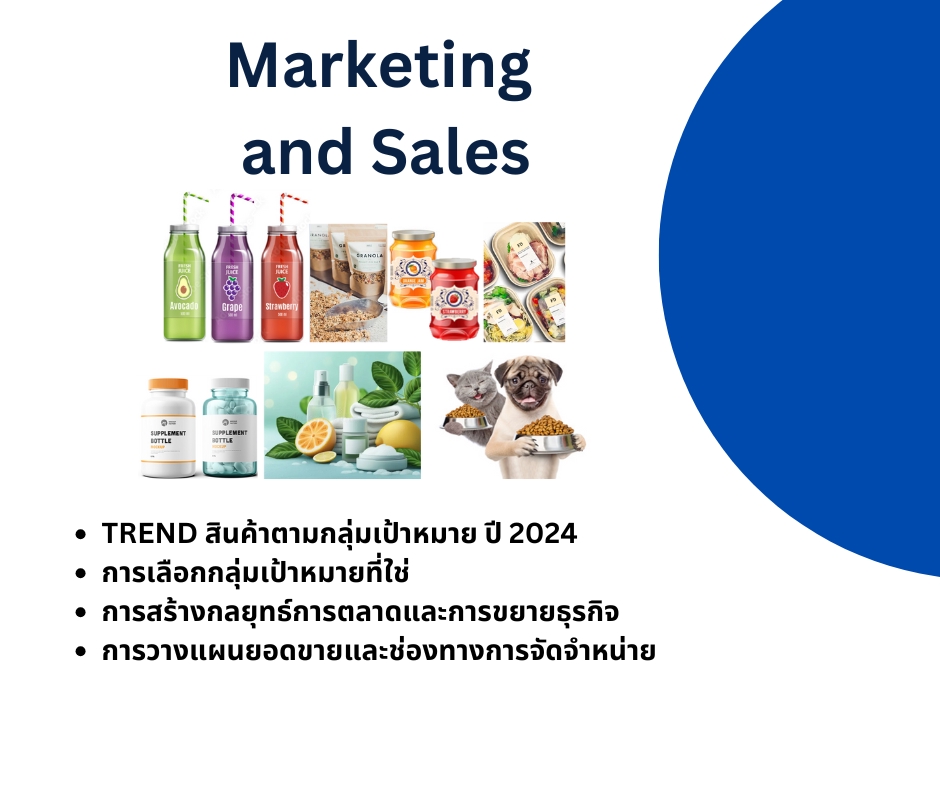 ที่ปรึกษาการตลาดออนไลน์วางแผนการขายปี2024