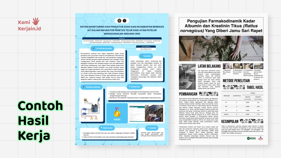 Infografis - Jasa Desain Infografis Menarik dan Profresional - 3