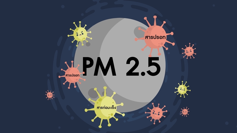 Motion Graphics - Motion graphic / 2D Animation / สื่อการเรียน การสอน / Infographic / Presentation - 11