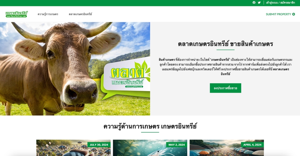 รับทำเว็บไซต์ wordpress ราคาถูก wordpress สร้างเว็บไซต์ wordpress