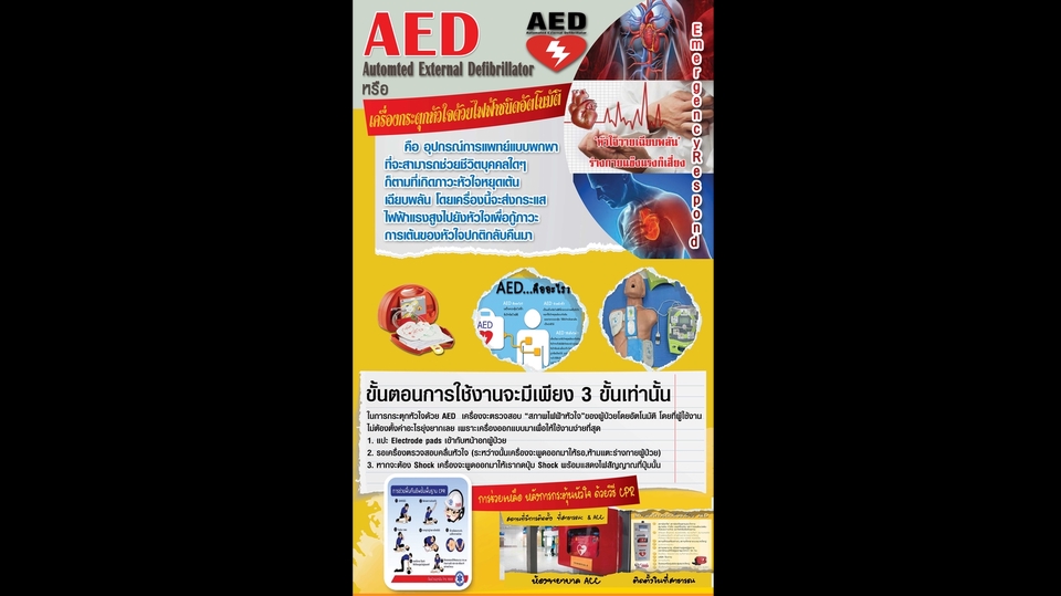 Infographics - รับทำอินโฟกราฟิก ด่วน งานคุณภาพ - 4