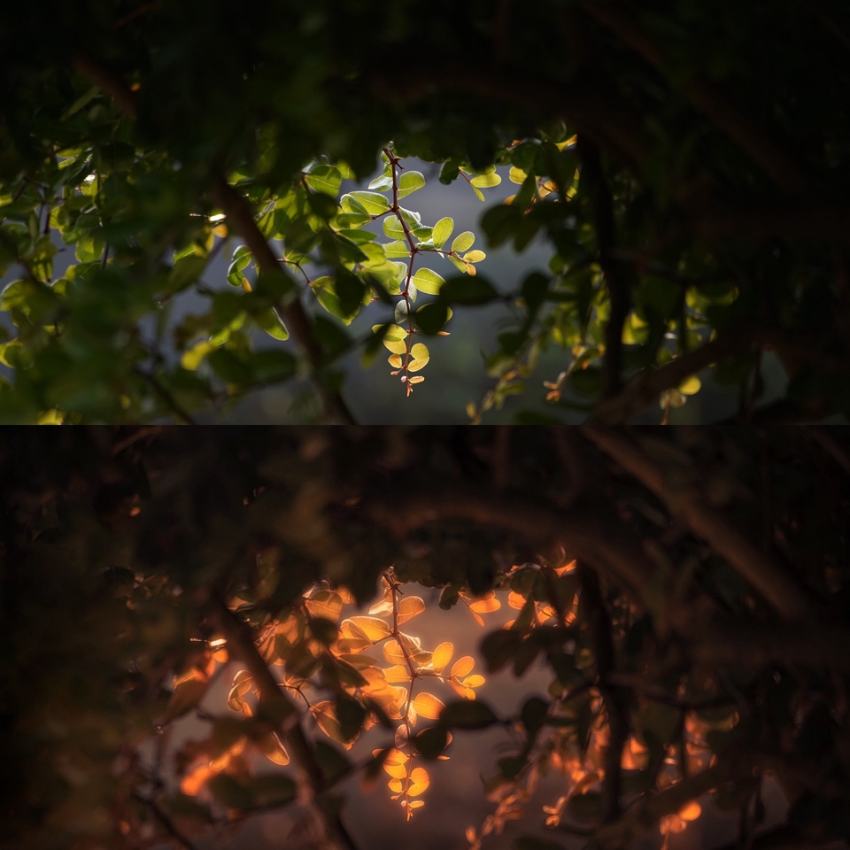 ไดคัท & Photoshop - ตัดต่อ แต่งรูป คุมโทน ไดคัท เปลี่ยนสี แต่งสี เพิ่ม-ลดส่วนเกิน - 27