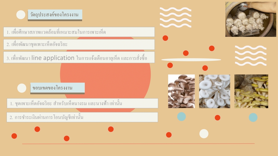 Presentation - รับทำPresentationในPower Point - 6