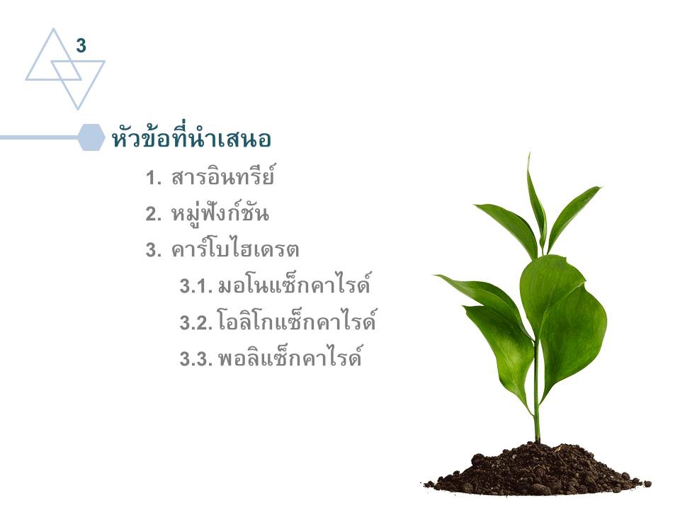 Presentation - รับทำ PowerPoint ภาษาไทย/ภาษาอังกฤษ - 6