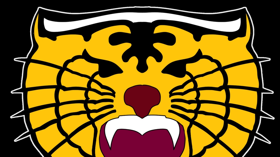 DESAIN LOGO SEDERHANA 1 HARI JADI