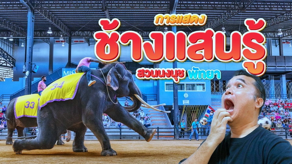ถ่ายและตัดต่อวีดีโอ - ตัดต่อ Vlog ช่อง Youtube และโฆษณาต่างๆ - 14