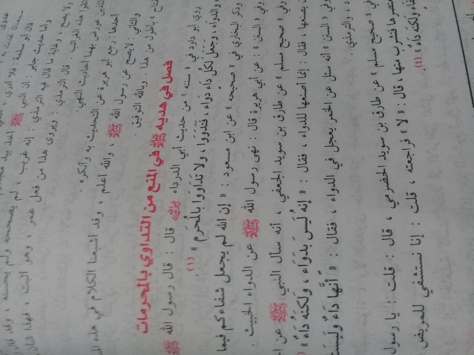 Penerjemahan - Translate Arab Indo (Mutarjim) - 3