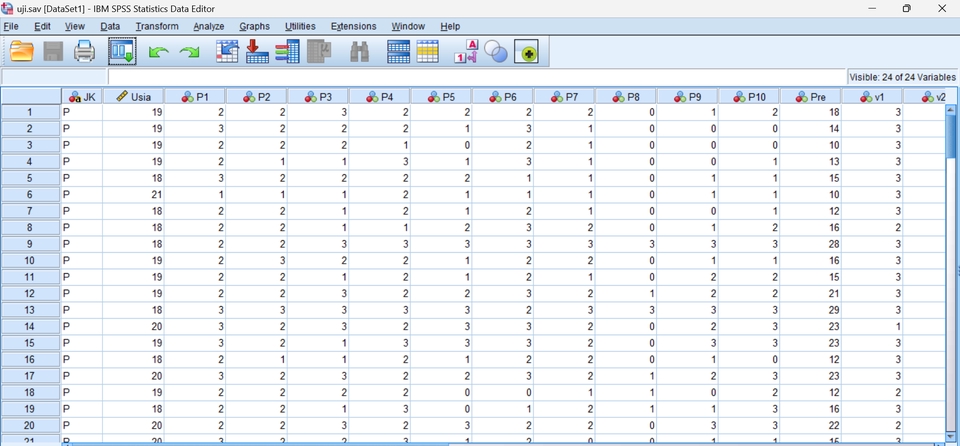 Jasa Analisis Deskriptif Statistik SPSS dengan data pengolahan data statistik