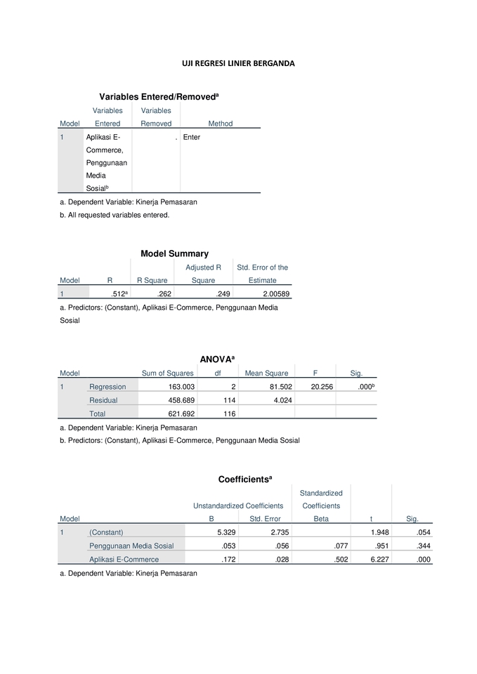 Jasa Analisis Data Statistik Deskriptif menggunakan SPSS,  dengan output  regresi linear berganda  dan analisis data tabel.