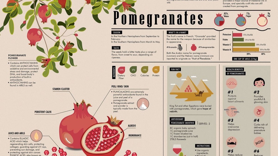 Pengembangan Diri - Humanitarian Consultancy - 1