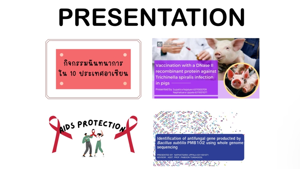 Presentation - รับทำ Presentation ทุกรูปแบบ - 1