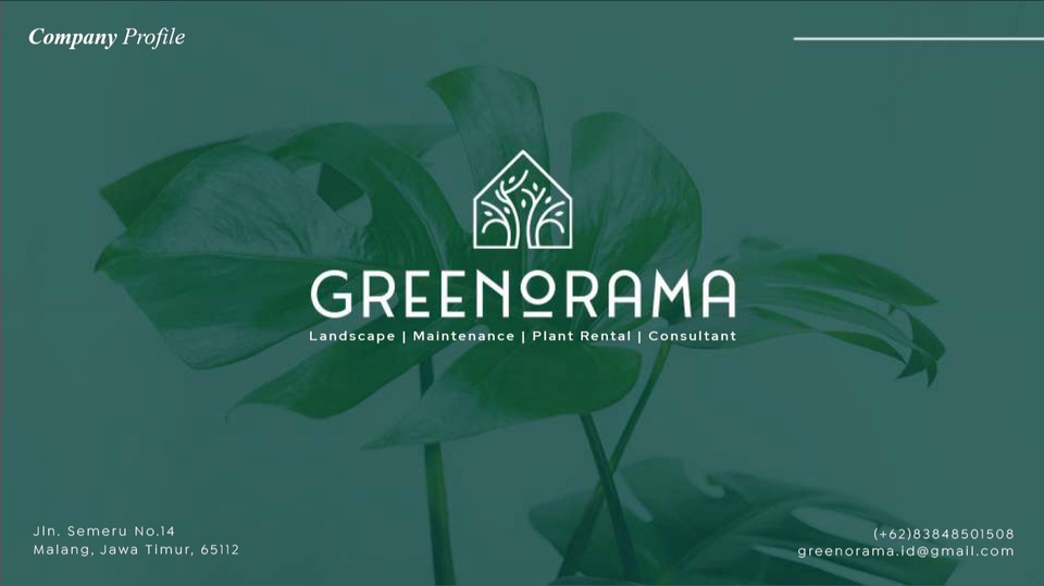 Desain portofolio untuk jasa pembuatan CV dan resume yang menarik dan profesional dengan sentuhan tanaman hijau.