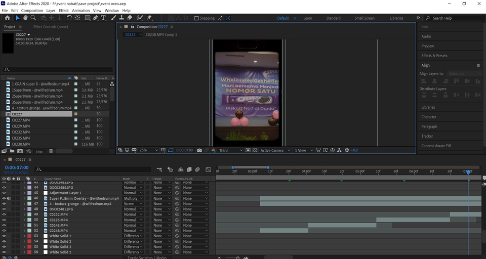 Video Editing - Profesional Video Editing - 3