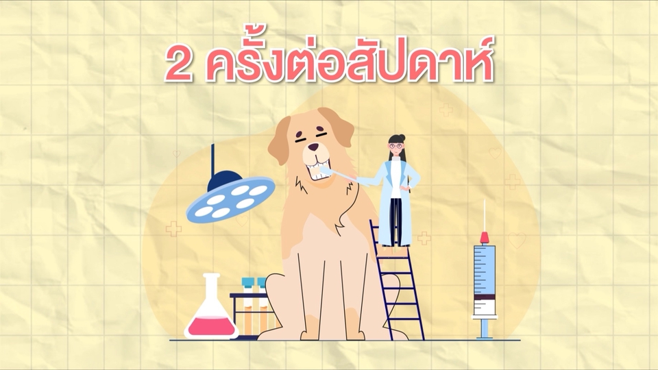 Motion Graphics - รับทำ Motion Graphic 2D / Motion ADS / Info graphic ครอบจักรวาล งานดี งานถูก คุณภาพสุดยอด ! - 1