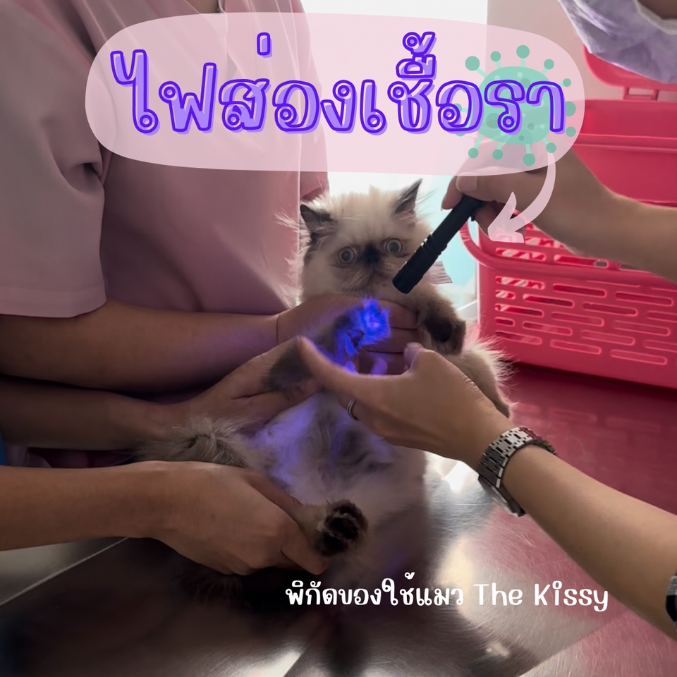 รับรีวิวสินค้า บล็อกเกอร์รีวิว บล็อกเกอร์รีวิวสินค้า รีวิวสินค้า บล็อกเกอร์