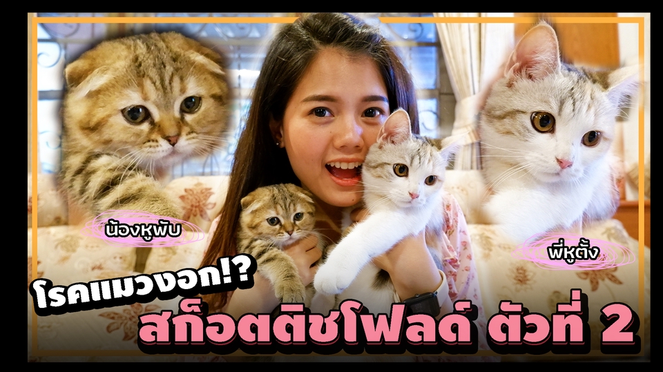 ถ่ายและตัดต่อวีดีโอ - ตัดต่อวิดีโอ TIKTOK, VLOG, รายการ, รีวิวสินค้า, เกม, เพลงไม่ติดลิขสิทธิ์, ทำปกคลิป - 1