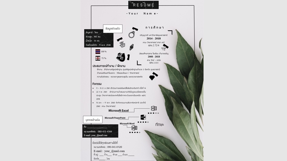 Portfolio & Resume - รับออกแบบ Resume เน้นหลุดโลก เป็นที่จดจำ - 3