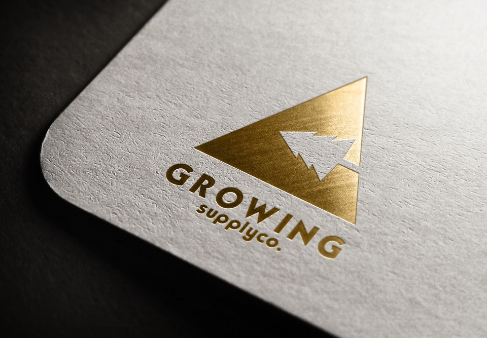 Logo - BRING YOUR BRAND TO THE NEXT LEVEL! | Jasa Desain Logo Personal atau Bisnis | 1 HARI BERES - 5