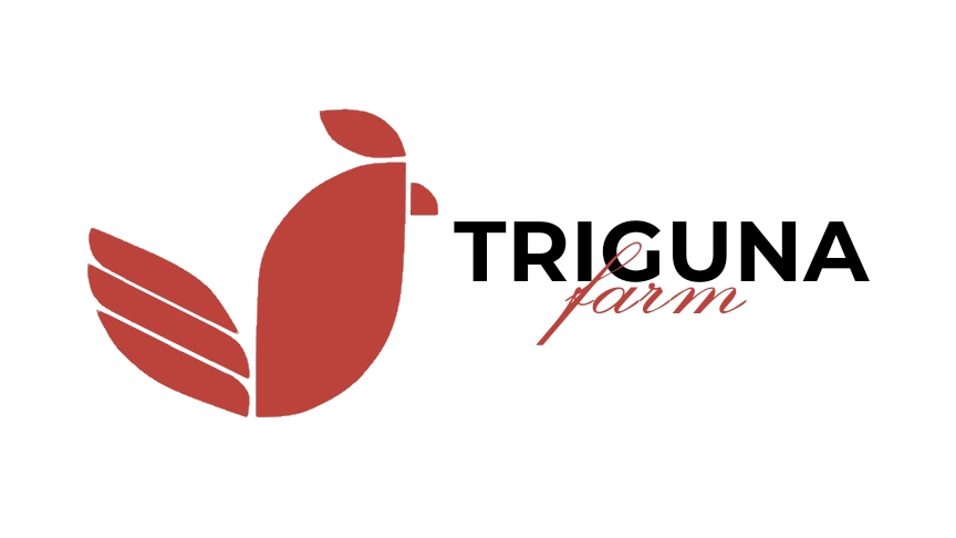 Design logo simple dan modern, 1 hari jadi