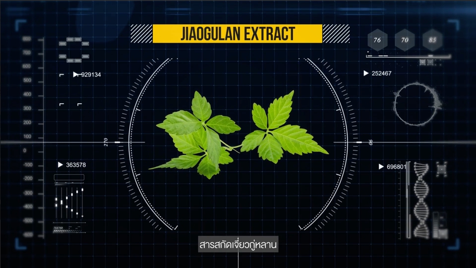 Motion Graphics - รับทำ Motion Graphic ทุกประเภท ! เติมสีสันให้งานของคุณมีชีวิตด้วย Motion Graphic ทักเลย! - 13