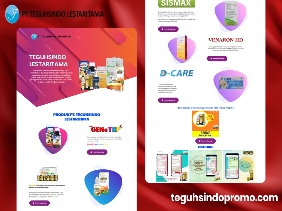 Web Development - Pembuatan Website +Domain+Hosting Lengkap Siap Pakai - 3