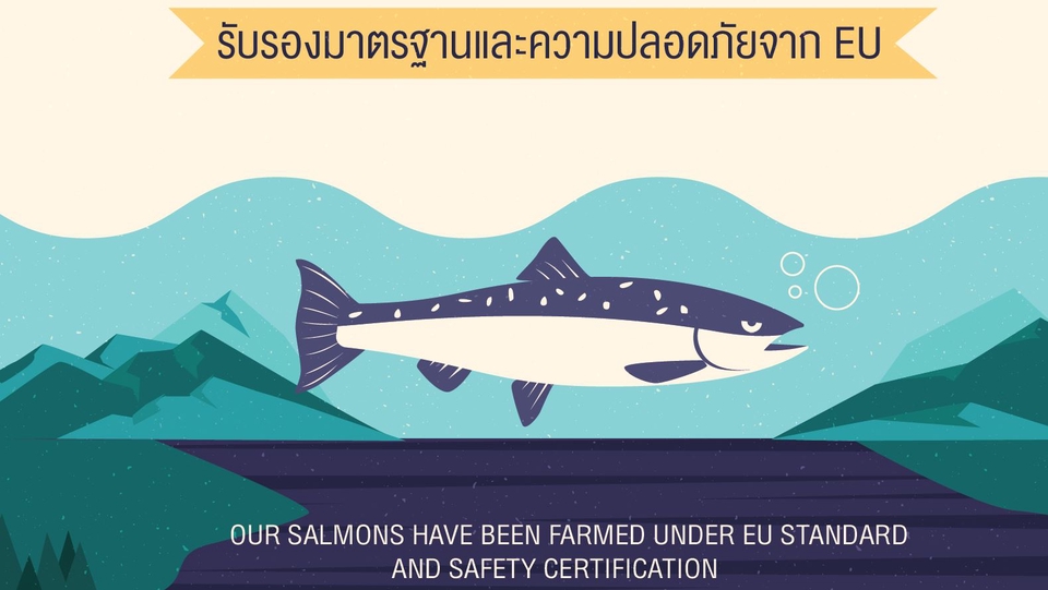 Motion Graphics - โมชั่นกราฟฟิก/โฆษณา/Infographic/Animation คุยง่าย มืออาชีพจ้า - 2