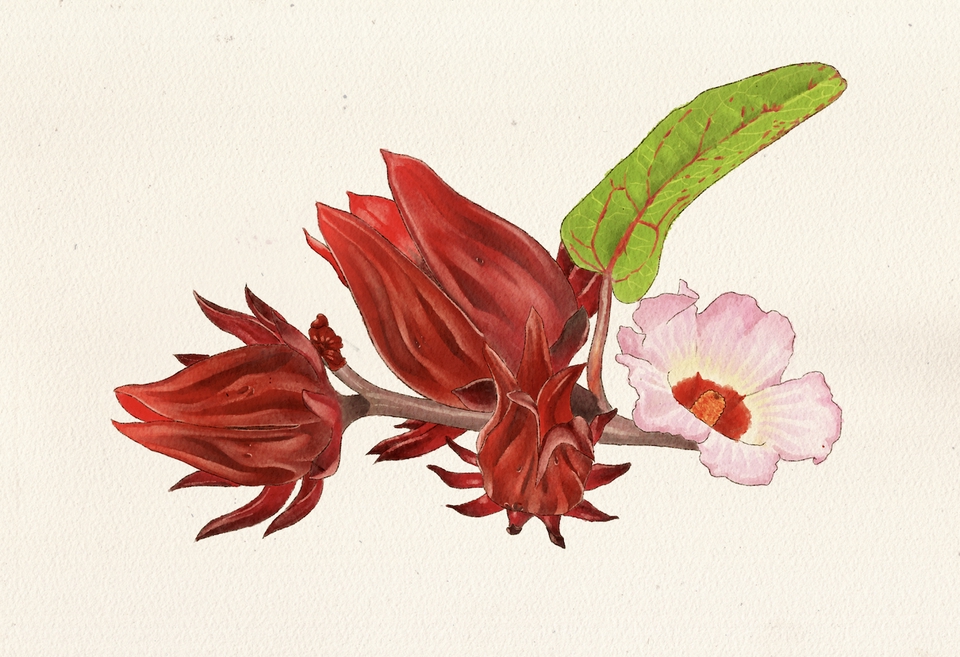 วาดภาพประกอบ - วาดภาพประกอบตามต้องการ ลายเส้น สีน้ำ การ์ตูน ปกนิยายฯลฯ - 4