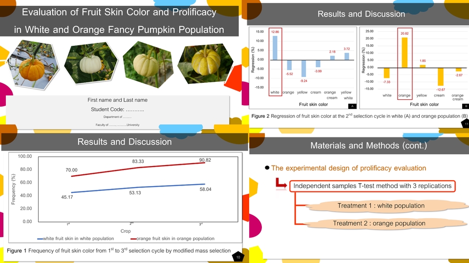 Presentation - รับทำ Power point - 4