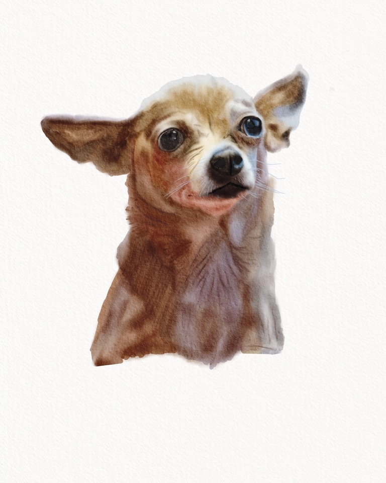 Gambar Potret - Realistic Watercolor pet portrait - 3
