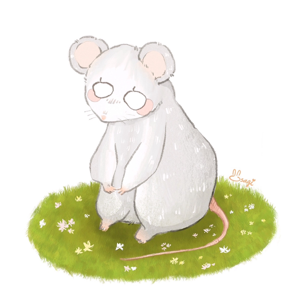 วาดภาพการ์ตูน - Cute animal drawings - 2