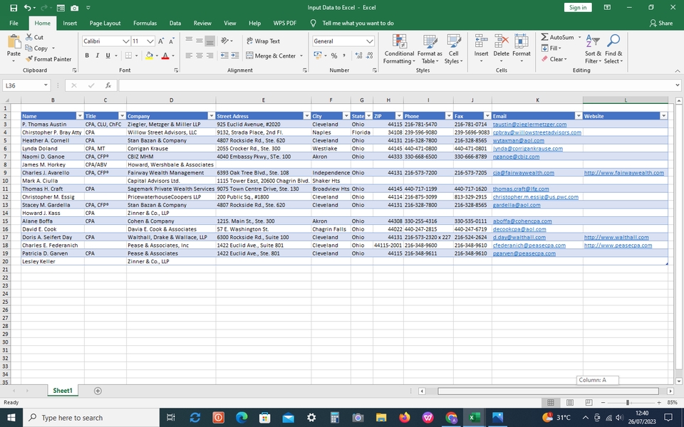 Entri Data - Jasa Pengerjaan Microsoft Excel dan Google Sheet - 2