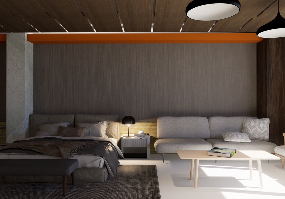 ออกแบบตกแต่งภายในและภายนอก - DESIGN รับออกแบบอาคารภายในภาพนอก / MODERN HOUSE - 8